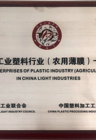 Diez nuevos premios para la industria ligera China