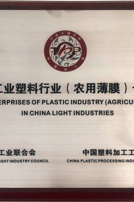 Diez nuevos premios para la industria ligera China