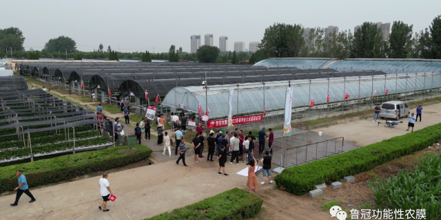 Luguan Special Film For Strawberry Seedling VS Shade Net