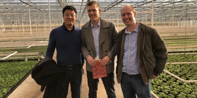 Dutch greenhouse technology study