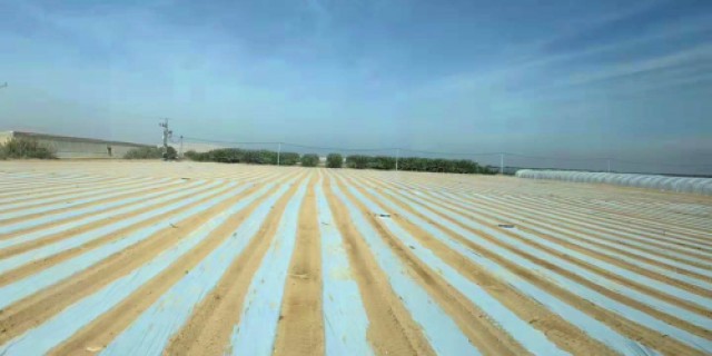 Visita Comercial a la Agricultura Israelí