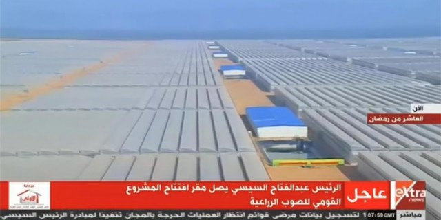 Проект «Один пояс, один путь» - экспорт 10 000 тонн пленок сельхозназначения в Египет