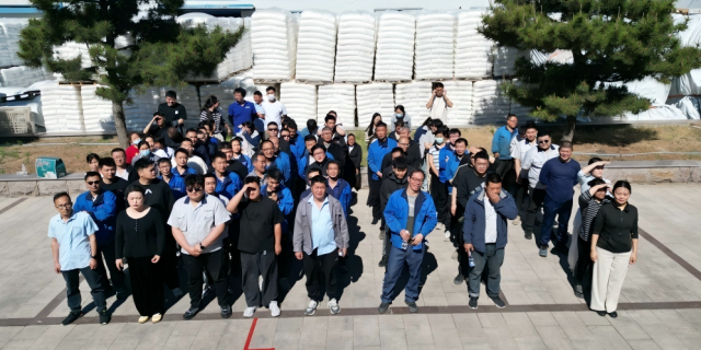 Dynamic May, Ignite the Spirit: 2026 Lu Guan Plastic Staff Sports Meeting Concludes Successfully