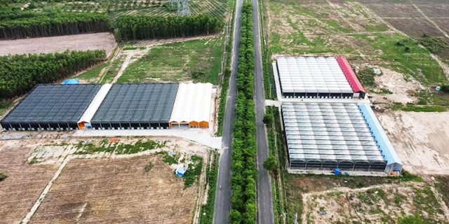 Po film with cooling effect (Vietnam)