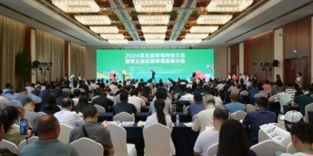 Luguan Plastics Attends 2024 5th Strawberry Seed Industry Conference