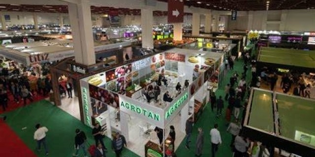 Our Showcase at Foreign Exhibitions